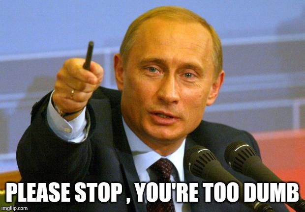 Good Guy Putin Meme | PLEASE STOP , YOU'RE TOO DUMB | image tagged in memes,good guy putin | made w/ Imgflip meme maker