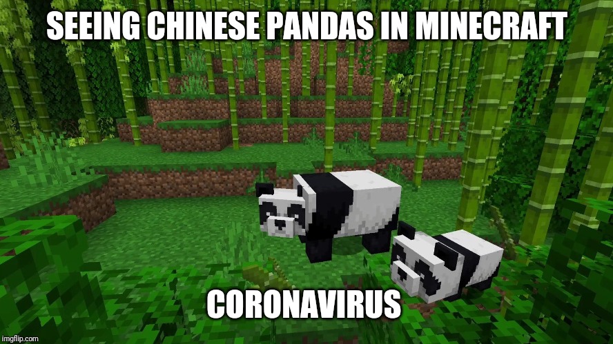 SEEING CHINESE PANDAS IN MINECRAFT; CORONAVIRUS | image tagged in coronavirus | made w/ Imgflip meme maker
