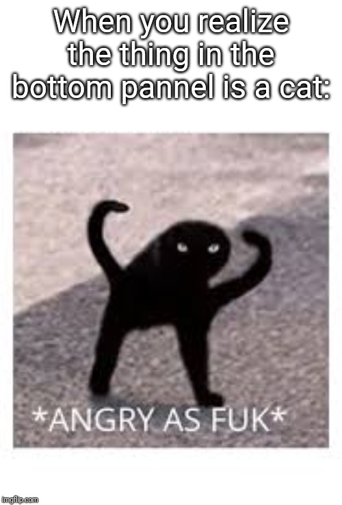 Angery as Fuk | When you realize the thing in the bottom pannel is a cat: | image tagged in angery as fuk | made w/ Imgflip meme maker