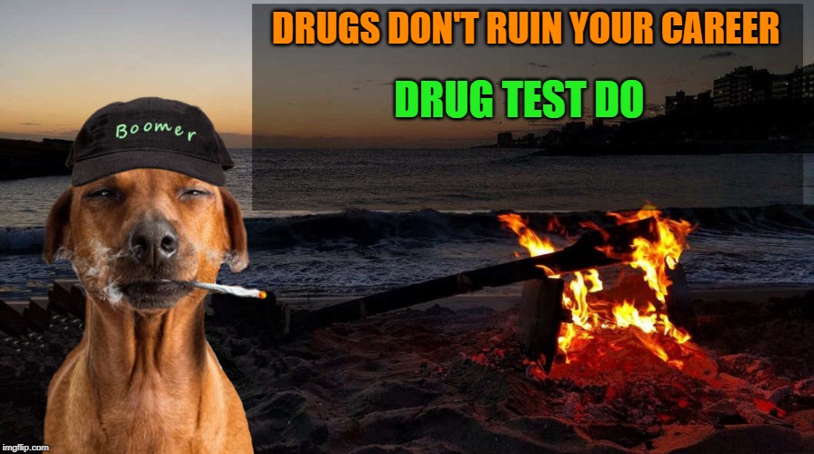 True that! | DRUGS DON'T RUIN YOUR CAREER; DRUG TEST DO | image tagged in boomer says by kewlew,drug test | made w/ Imgflip meme maker