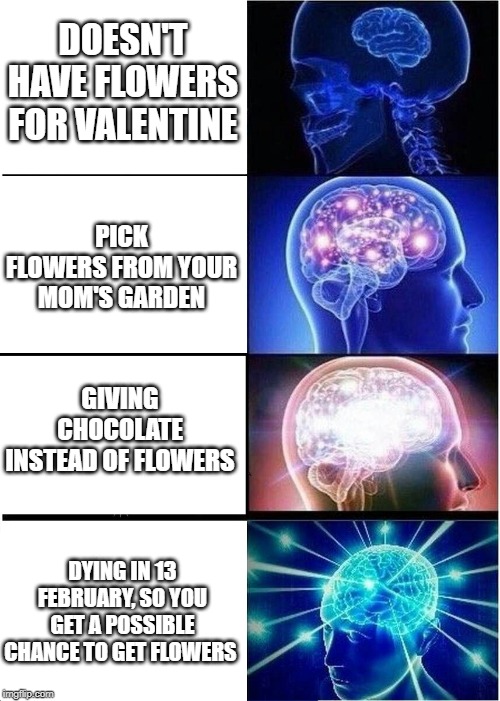 Expanding Brain Meme | DOESN'T HAVE FLOWERS FOR VALENTINE; PICK FLOWERS FROM YOUR MOM'S GARDEN; GIVING CHOCOLATE INSTEAD OF FLOWERS; DYING IN 13 FEBRUARY, SO YOU GET A POSSIBLE CHANCE TO GET FLOWERS | image tagged in memes,expanding brain | made w/ Imgflip meme maker