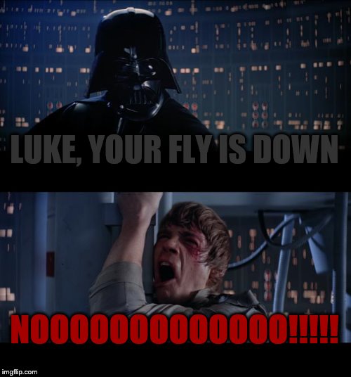 Star Wars No Meme | LUKE, YOUR FLY IS DOWN; NOOOOOOOOOOOOO!!!!! | image tagged in memes,star wars no | made w/ Imgflip meme maker