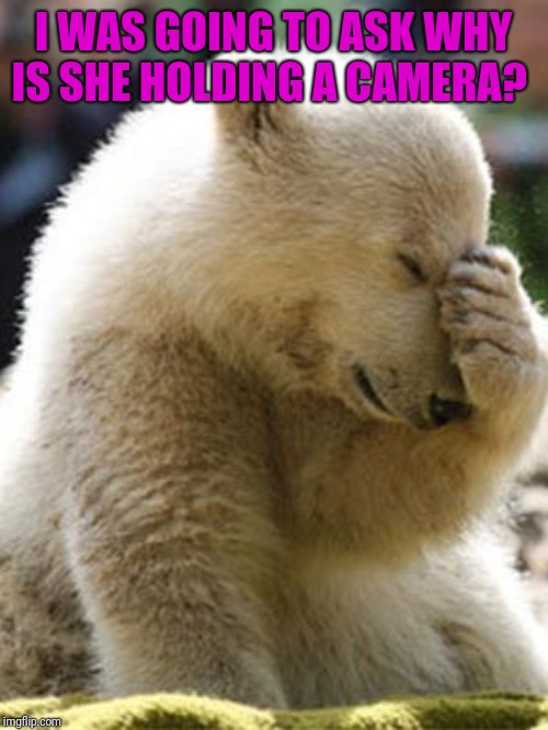 Facepalm Bear Meme | I WAS GOING TO ASK WHY IS SHE HOLDING A CAMERA? | image tagged in memes,facepalm bear | made w/ Imgflip meme maker