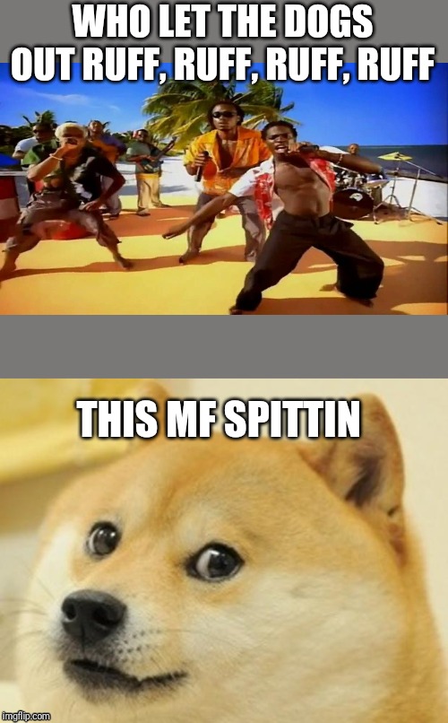 WHO LET THE DOGS OUT RUFF, RUFF, RUFF, RUFF; THIS MF SPITTIN | image tagged in memes,doge,who let the dogs out | made w/ Imgflip meme maker