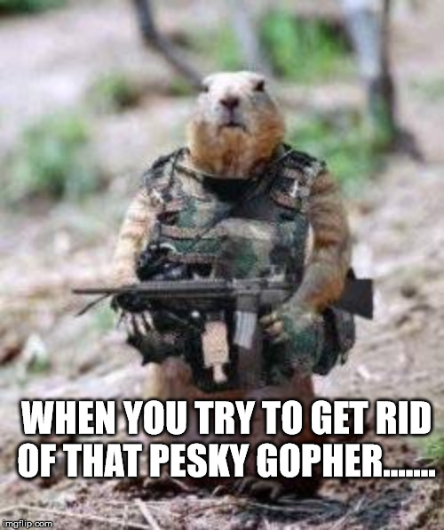 Freedom Fighters | WHEN YOU TRY TO GET RID OF THAT PESKY GOPHER....... | image tagged in freedom fighters | made w/ Imgflip meme maker
