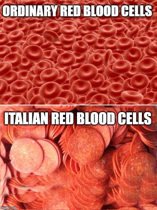 blood cells | ORDINARY RED BLOOD CELLS; ITALIAN RED BLOOD CELLS | image tagged in bloodcells,italian blood cells | made w/ Imgflip meme maker