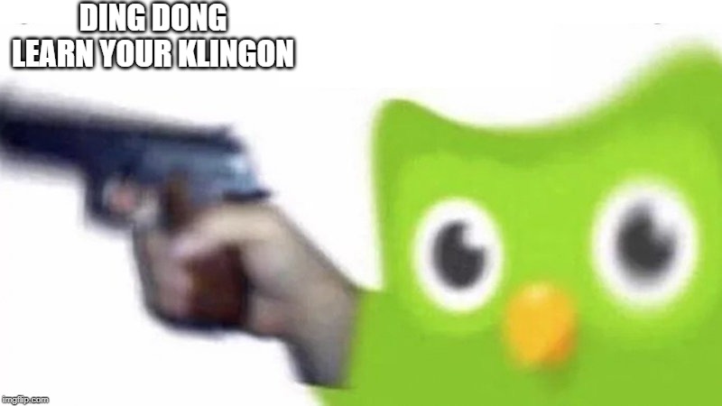 duolingo gun | DING DONG
LEARN YOUR KLINGON | image tagged in duolingo gun | made w/ Imgflip meme maker