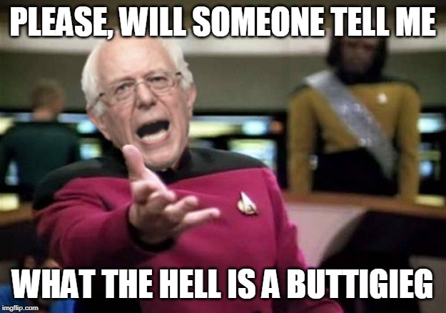 WTF Bernie Sanders | PLEASE, WILL SOMEONE TELL ME; WHAT THE HELL IS A BUTTIGIEG | image tagged in wtf bernie sanders | made w/ Imgflip meme maker