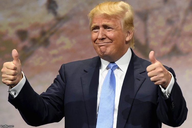 Thumbs Up Donald | image tagged in thumbs up donald | made w/ Imgflip meme maker