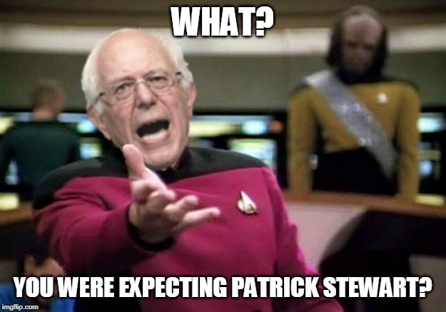 WTF Bernie Sanders | WHAT? YOU WERE EXPECTING PATRICK STEWART? | image tagged in wtf bernie sanders | made w/ Imgflip meme maker