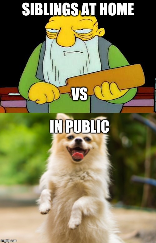 SIBLINGS AT HOME; VS
  


IN PUBLIC | image tagged in memes,that's a paddlin' | made w/ Imgflip meme maker