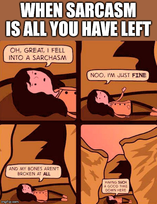 WHEN SARCASM IS ALL YOU HAVE LEFT | made w/ Imgflip meme maker