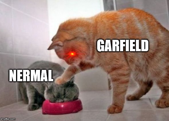 Force feed cat | GARFIELD; NERMAL | image tagged in force feed cat | made w/ Imgflip meme maker