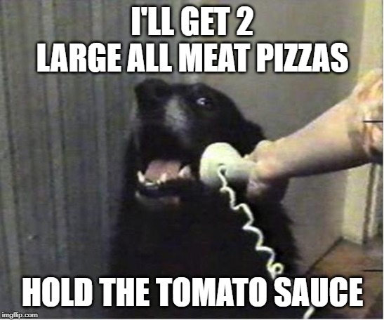 Yes this is dog | I'LL GET 2 LARGE ALL MEAT PIZZAS HOLD THE TOMATO SAUCE | image tagged in yes this is dog | made w/ Imgflip meme maker
