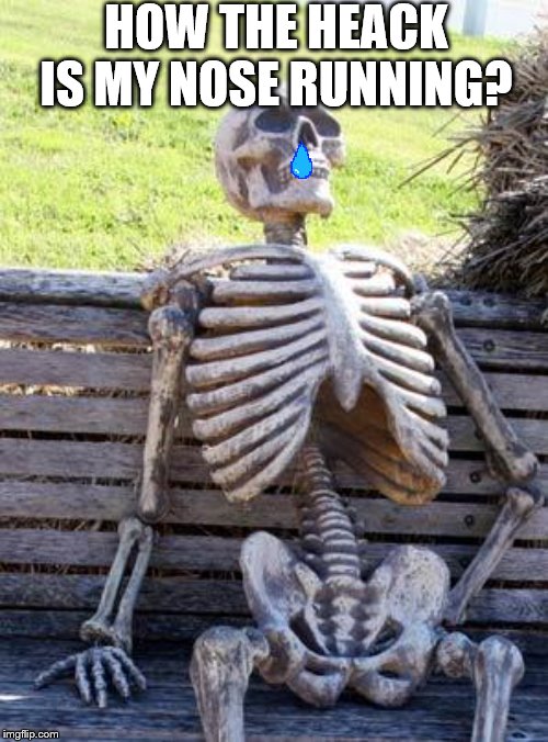 Waiting Skeleton | HOW THE HEACK IS MY NOSE RUNNING? | image tagged in memes,waiting skeleton | made w/ Imgflip meme maker