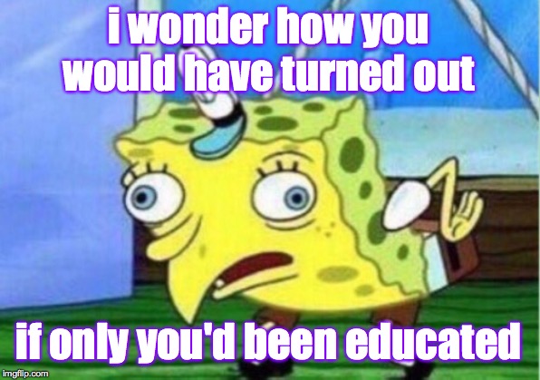 Mocking Spongebob Meme | i wonder how you would have turned out if only you'd been educated | image tagged in memes,mocking spongebob | made w/ Imgflip meme maker