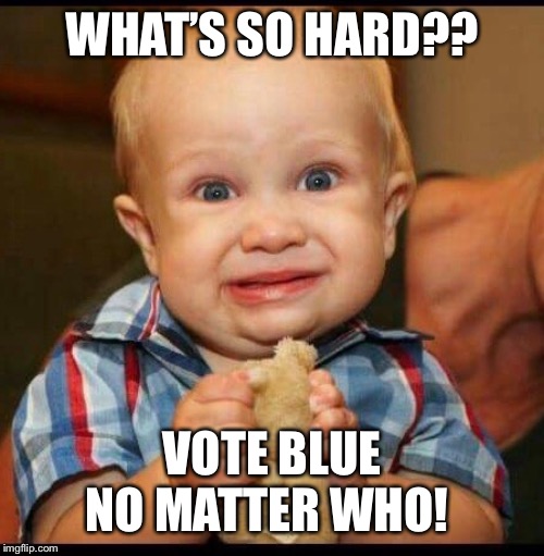 Vote blue no matter who | WHAT’S SO HARD?? VOTE BLUE NO MATTER WHO! | image tagged in vote blue no matter who,vote blue 2020,dump trump | made w/ Imgflip meme maker