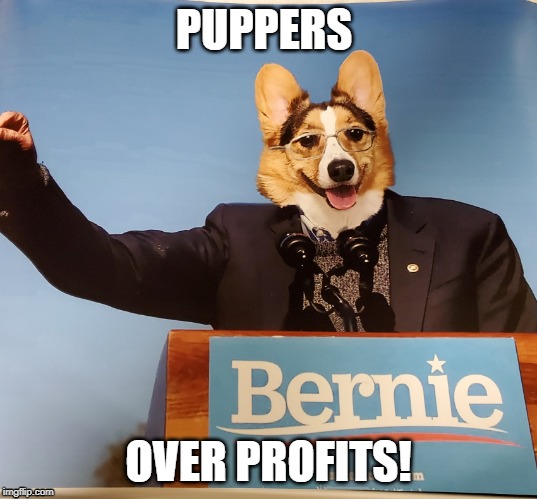 We must fight the Cat-o-pill-ists! | PUPPERS; OVER PROFITS! | image tagged in bernie sanders,puppy | made w/ Imgflip meme maker