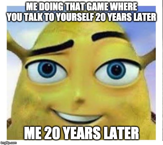 barry b shrekson | ME DOING THAT GAME WHERE YOU TALK TO YOURSELF 20 YEARS LATER; ME 20 YEARS LATER | image tagged in barry b shrekson | made w/ Imgflip meme maker