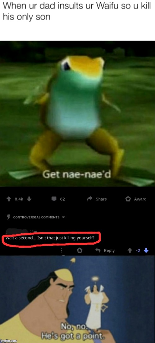 For an r/woooosh moment, he's got a point... | image tagged in no no hes got a point,get nae-nae'd,get nae nae'd,frog,controversial,comments | made w/ Imgflip meme maker