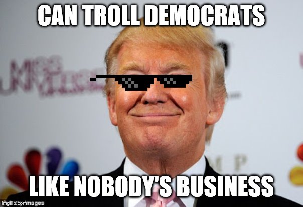 Donald trump approves | CAN TROLL DEMOCRATS LIKE NOBODY'S BUSINESS | image tagged in donald trump approves | made w/ Imgflip meme maker