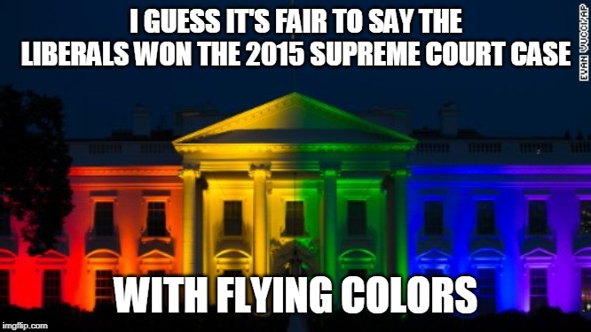 An historic moment for the Rainbow People | I GUESS IT'S FAIR TO SAY THE LIBERALS WON THE 2015 SUPREME COURT CASE; WITH FLYING COLORS | image tagged in liberals,gay pride,supreme court,rainbow,lgbt,colors | made w/ Imgflip meme maker