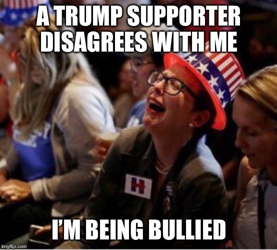 Crying liberal  | A TRUMP SUPPORTER DISAGREES WITH ME I’M BEING BULLIED | image tagged in crying liberal | made w/ Imgflip meme maker