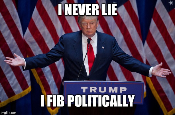 Donald Trump | I NEVER LIE; I FIB POLITICALLY | image tagged in donald trump | made w/ Imgflip meme maker