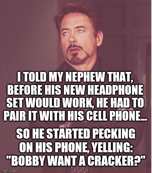Parrot with his phone?.... | I TOLD MY NEPHEW THAT, BEFORE HIS NEW HEADPHONE SET WOULD WORK, HE HAD TO PAIR IT WITH HIS CELL PHONE... SO HE STARTED PECKING ON HIS PHONE, YELLING: "BOBBY WANT A CRACKER?" | image tagged in memes,face you make robert downey jr,satire,cell phone,stupidity,stupid | made w/ Imgflip meme maker