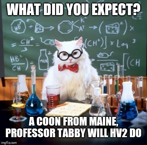 Chemistry Cat Meme | WHAT DID YOU EXPECT? A COON FROM MAINE, PROFESSOR TABBY WILL HV2 DO | image tagged in memes,chemistry cat | made w/ Imgflip meme maker