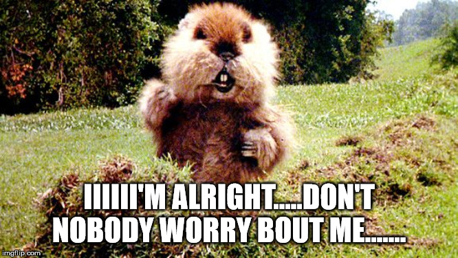 Caddyshack Gopher | IIIIII'M ALRIGHT.....DON'T NOBODY WORRY BOUT ME....... | image tagged in caddyshack gopher | made w/ Imgflip meme maker