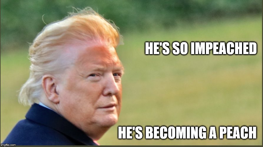 Forever Impeached | HE'S SO IMPEACHED; HE'S BECOMING A PEACH | image tagged in forever impeached | made w/ Imgflip meme maker
