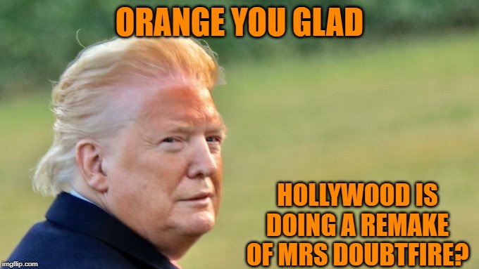 The Face That Sank A Thousand Ships.. | ORANGE YOU GLAD; HOLLYWOOD IS DOING A REMAKE OF MRS DOUBTFIRE? | image tagged in donald trump | made w/ Imgflip meme maker