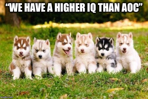 “WE HAVE A HIGHER IQ THAN AOC” | made w/ Imgflip meme maker