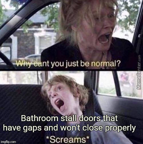 Why Can't You Just Be Normal | Bathroom stall doors that have gaps and won't close properly | image tagged in why can't you just be normal | made w/ Imgflip meme maker