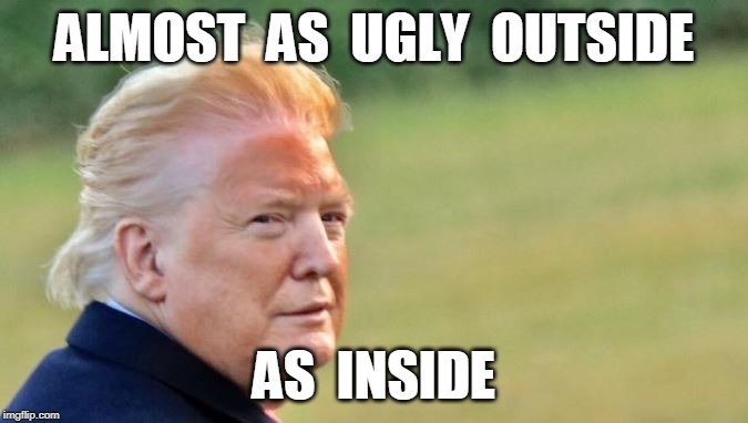 ALMOST  AS  UGLY  OUTSIDE; AS  INSIDE | image tagged in trump,hair | made w/ Imgflip meme maker