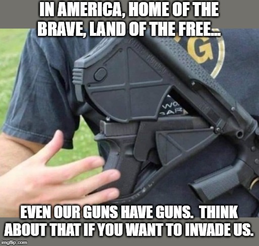 even our  guns have guns | IN AMERICA, HOME OF THE BRAVE, LAND OF THE FREE... EVEN OUR GUNS HAVE GUNS.  THINK ABOUT THAT IF YOU WANT TO INVADE US. | image tagged in 2a,guns,freedom | made w/ Imgflip meme maker