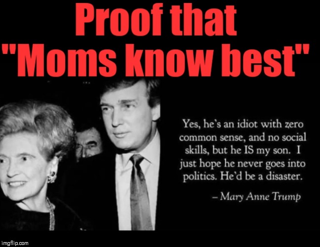 image tagged in a mother's love,donald trump,idiot,scandal | made w/ Imgflip meme maker