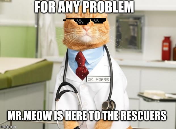 Cat Doctor | FOR ANY PROBLEM; MR.MEOW IS HERE TO THE RESCUERS | image tagged in cat doctor | made w/ Imgflip meme maker