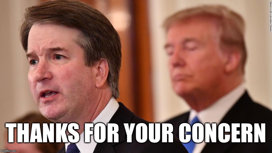 Trump Kavanaugh | THANKS FOR YOUR CONCERN | image tagged in trump kavanaugh | made w/ Imgflip meme maker