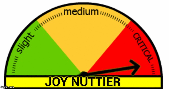 Generic Meter | JOY NUTTIER | image tagged in generic meter | made w/ Imgflip meme maker