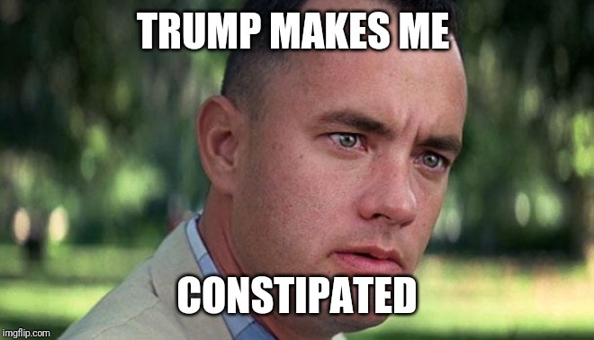 Forest Gump | TRUMP MAKES ME; CONSTIPATED | image tagged in forest gump | made w/ Imgflip meme maker