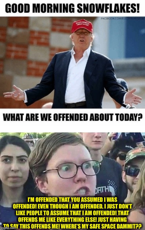 I’M OFFENDED THAT YOU ASSUMED I WAS OFFENDED! EVEN THOUGH I AM OFFENDED, I JUST DON’T LIKE PEOPLE TO ASSUME THAT I AM OFFENDED! THAT OFFENDS ME LIKE EVERYTHING ELSE! JUST HAVING TO SAY THIS OFFENDS ME! WHERE’S MY SAFE SPACE DAMMIT?? | image tagged in triggered liberal,libtards,liberal logic,liberals,goofy stupid liberal college student,democratic party | made w/ Imgflip meme maker