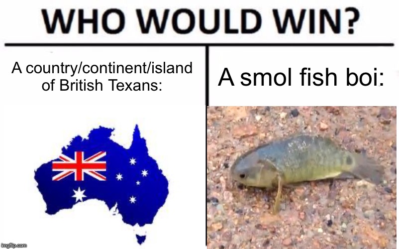 Crikey, mate! | A country/continent/island of British Texans:; A smol fish boi: | image tagged in australia vs fish | made w/ Imgflip meme maker