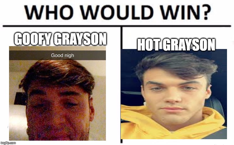 Who Would Win? | HOT GRAYSON; GOOFY GRAYSON | image tagged in memes,who would win | made w/ Imgflip meme maker