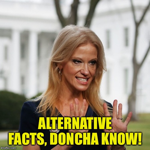 Kellyanne Conway | ALTERNATIVE FACTS, DONCHA KNOW! | image tagged in kellyanne conway | made w/ Imgflip meme maker