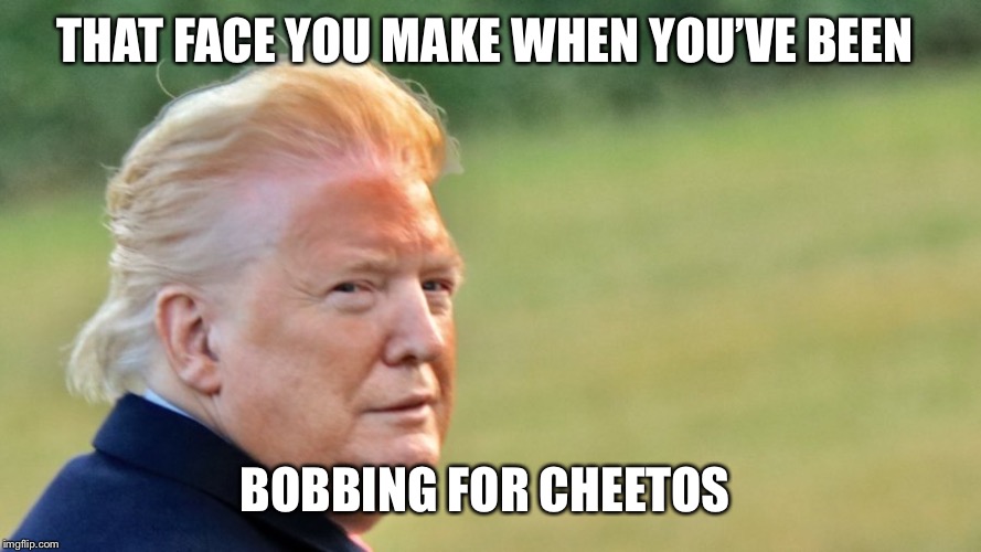Bobbing For Cheetos | THAT FACE YOU MAKE WHEN YOU’VE BEEN; BOBBING FOR CHEETOS | image tagged in trump,orange trump,cheetos,donald trump,bobbing for cheetos,memes | made w/ Imgflip meme maker