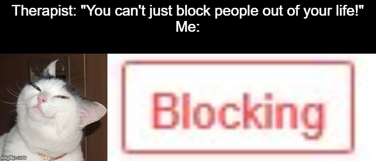 Smug Cat Blocking | Therapist: "You can't just block people out of your life!"
Me: | image tagged in smug cat,blocked,hehehe,mwahahaha,i dunno,insane | made w/ Imgflip meme maker