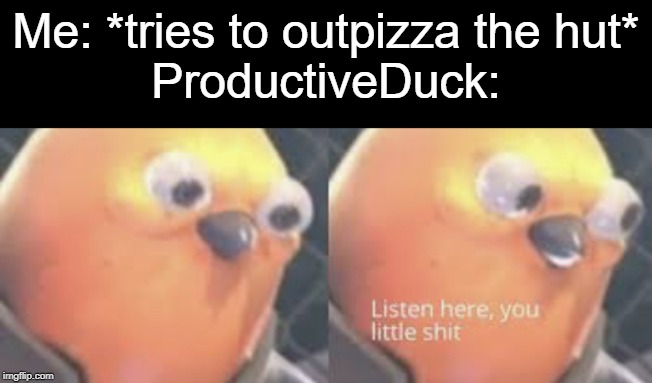Listen here you little shit bird | Me: *tries to outpizza the hut*
ProductiveDuck: | image tagged in listen here you little shit bird | made w/ Imgflip meme maker