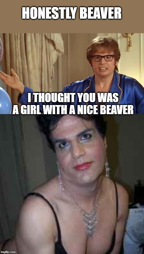 HONESTLY BEAVER I THOUGHT YOU WAS A GIRL WITH A NICE BEAVER | image tagged in memes,austin powers honestly | made w/ Imgflip meme maker